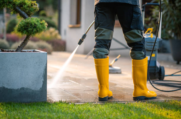 Best Roof Power Washing Services  in Duenweg, MO